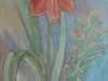 Lilly