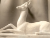 "Gazelle"